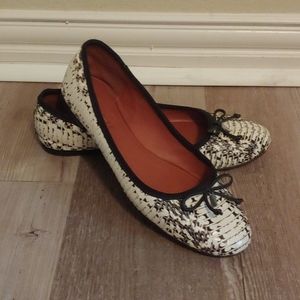 Coach Lola ballet flat in black white snake print